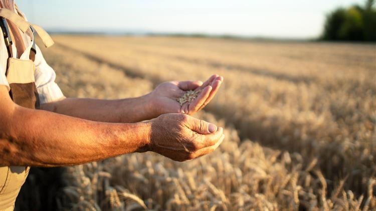 ΠΟΓΕΔΥ: Επιστροφή των δικαιωμάτων στους πραγματικούς παραγωγούς