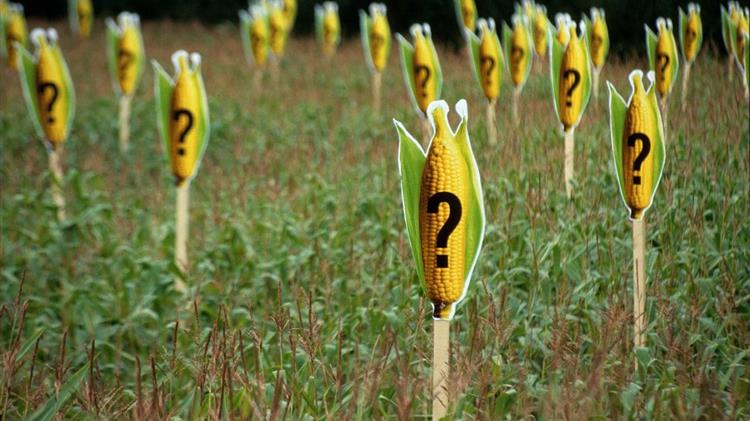 Απορρύθμιση μεταλλαγμένων: πρόβλημα και όχι λύση για τους αγρότες και τη γεωργία