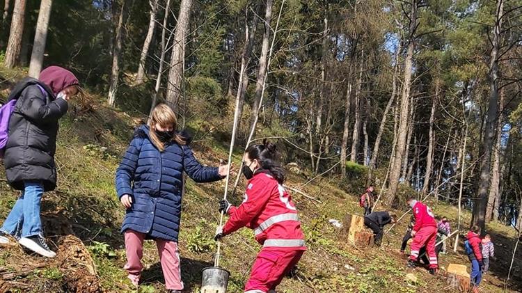 Πρωτοβουλία «75UN – 75 TreesUNAISDG7»