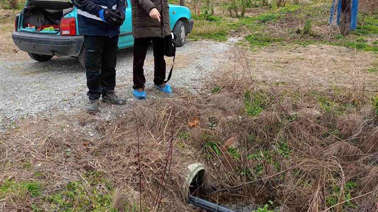 Ακτινίδια και στράγγιση χωραφιών