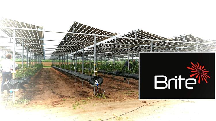 Δρ. Νίκος Κανόπουλος, CEO της Brite Solar: Ας Φωτίσουμε το Μέλλον της Γεωργίας