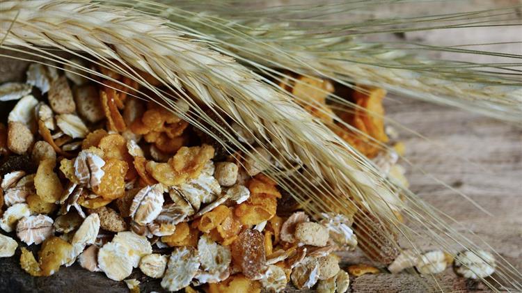 Σταθερός ο Δείκτης Τιμών Τροφίμων του FAO τον Αύγουστο, μικρή πτώση στα σιτηρά