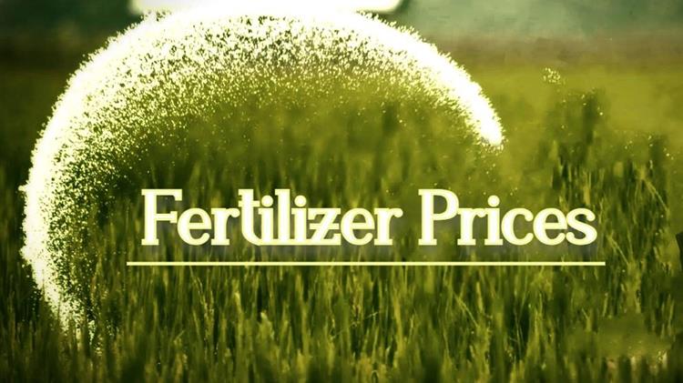 Αγορές λιπασμάτων: Ανοδική τάση στις τιμές, η Κίνα φέρνει αβεβαιότητα