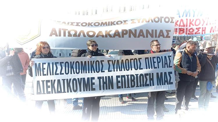 Μελισσοκόμοι σε κινητοποίηση: Σήμερα συγκέντρωση διαμαρτυρίας στην Αθήνα