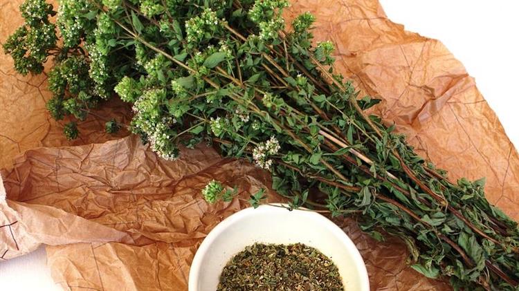 Επικίνδυνη ρίγανη: Ο Βελόπουλος καλεί τους Υπουργούς σε έρευνα και αυστηρές ποινές