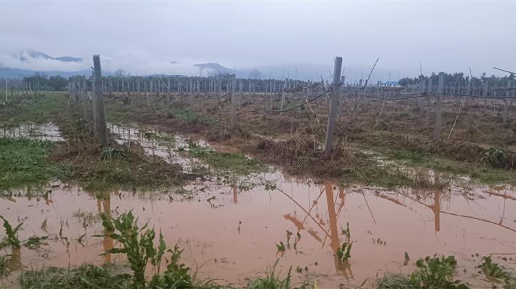 ΠΑΣΟΚ: Απαράδεκτες οι αποζημιώσεις του ΕΛΓΑ