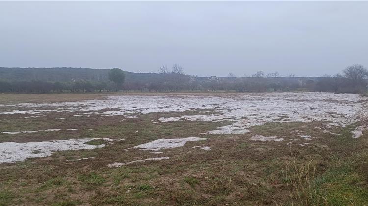 Κλιμάκια του ΕΛΓΑ θα επισκεφτούν τις πληγείσες καλλιέργειες στην Πιερία