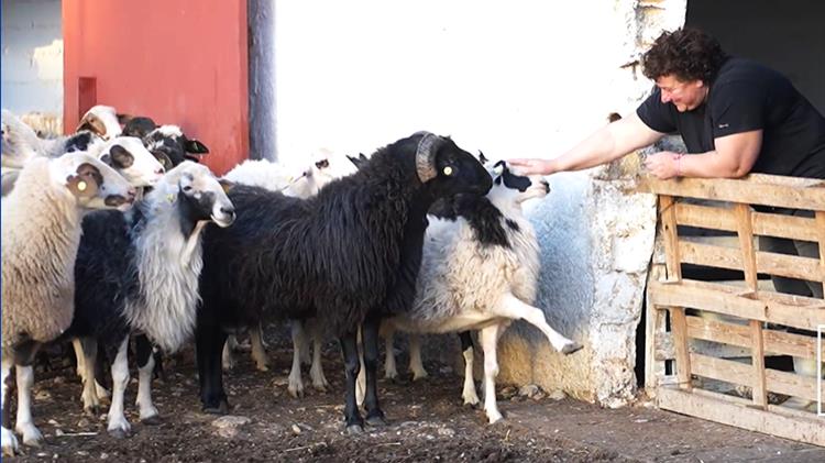 Η "ανορθόγραφη" ΚΑΠ