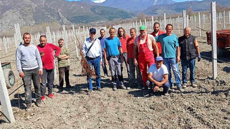 Εδαφολογικές Αναλύσεις και νέες φυτείες ακτινίδιων