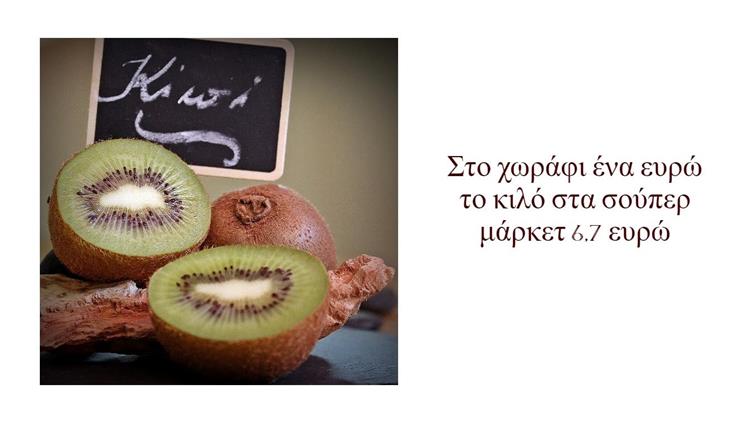 Ακτινίδια: Στο χωράφι ένα ευρώ το κιλό στα σούπερ μάρκετ 6,7 ευρώ