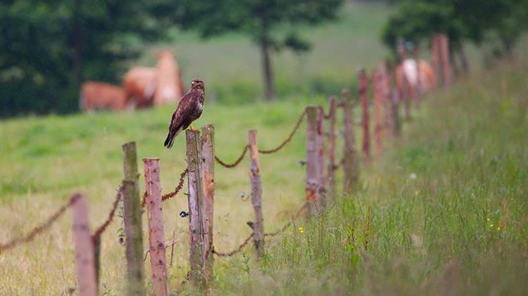 5th ESP Europe Conference in November 2024