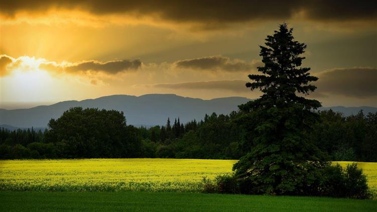 5ο Συνέδριο ESP Europe τον Νοέμβριο του 2024