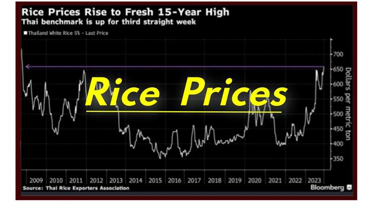 Ρύζι: Παγκοσμίως η τιμή ανεβαίνει… στη Ελλάδα πέφτει