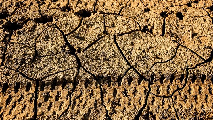 Θεσσαλία: Δωρεάν εδαφολογικές αναλύσεις στους πληγέντες αγρότες από τις πλημμύρες «Daniel» και «Elias»