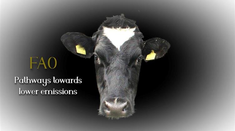 Κτηνοτροφία: Μείωση Εκπομπών έως 50% - ο FAO Δείχνει τον Δρόμο!
