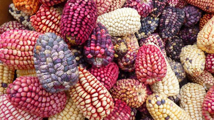 Ευρωπαϊκό Κοινοβούλιο: Προκαταρκτική συμφωνία για την απελευθέρωση του εμπορίου με την Ουκρανία