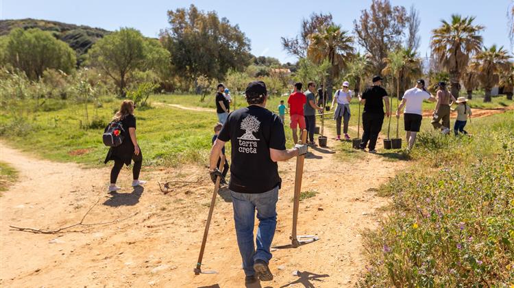 Εθελοντική Δενδροφύτευση στους Αγίους Αποστόλους - Χρυσή Ακτή