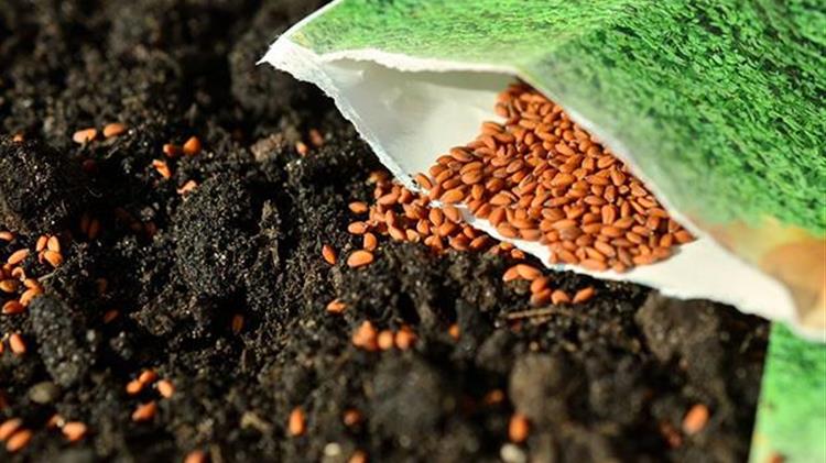 Άδεια χρήσης μη βιολογικού σπόρου (άδεια παρέκκλισης)