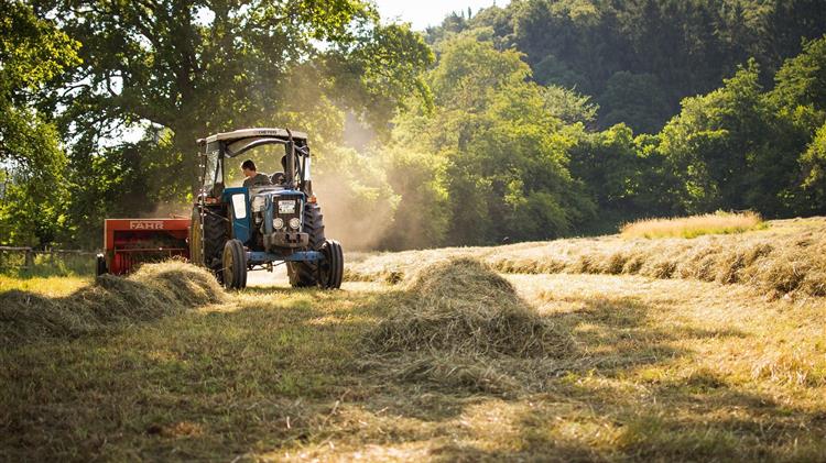 Bayer: Πιλοτική εφαρμογή εργαλείου τεχνητής νοημοσύνης για τη γεωργία
