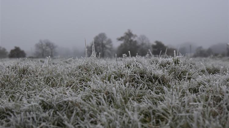 Ρωσία: Οι πρόσφατοι παγετοί κατέστρεψαν 8,3 εκατ. στρέμματα σποράς
