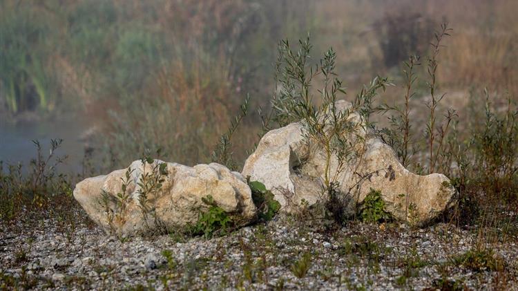 Η Ευρωπαϊκή Εισαγγελία αποκαλύπτει απάτη με αγροτικές επιδοτήσεις στην Κροατία