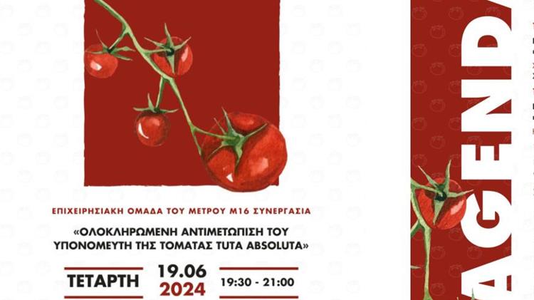 Εσπερίδα για την αντιμετώπιση του υπονομευτή της τομάτας Tuta absoluta στο Τυμπάκι