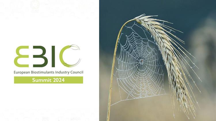 EBIC Summit 2024: Συζητώντας για Ισχυρές Αλυσίδες Εφοδιασμού Τροφίμων και Βιώσιμη Γεωργία