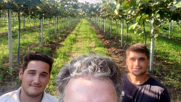 Η αναζωογόνηση προβληματικών κτημάτων Ακτινιδίων  μια επίπονη, αλλά όχι ανέφικτη διαδικασία