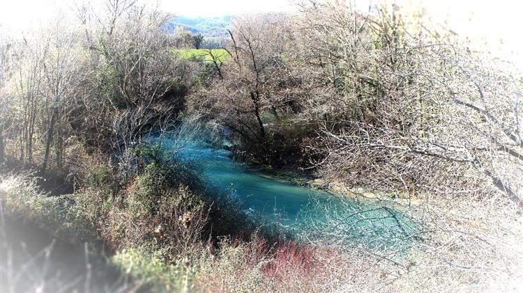 Ιστορική στιγμή για την Ευρώπη: Ψηφίστηκε ο πρώτος κανονισμός για την αποκατάσταση της φύσης