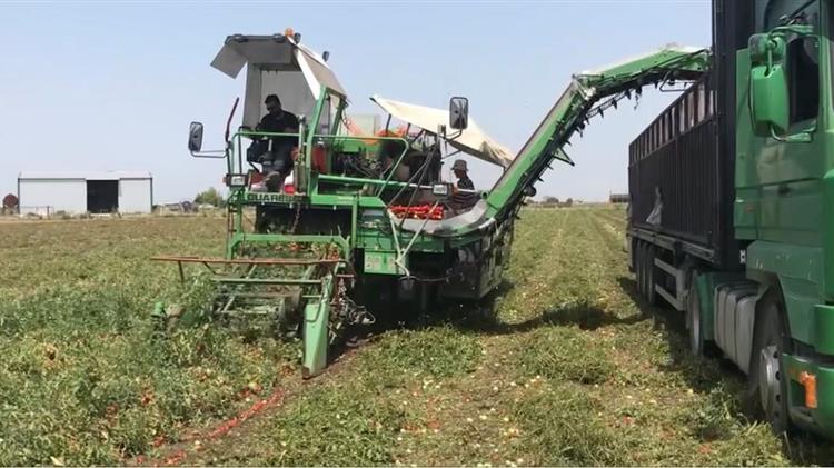 Bayer Ελλάς & Δ. Νομικός συνεργάζονται για την αναγεννητική γεωργία στην πράξη!