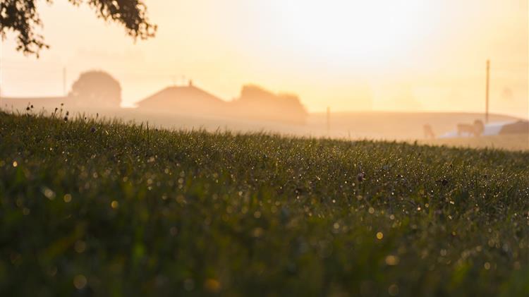 Συνεργασία PepsiCo Europe και Yara  για την απεξάρτηση από τον άνθρακα στην παραγωγή καλλιεργειών