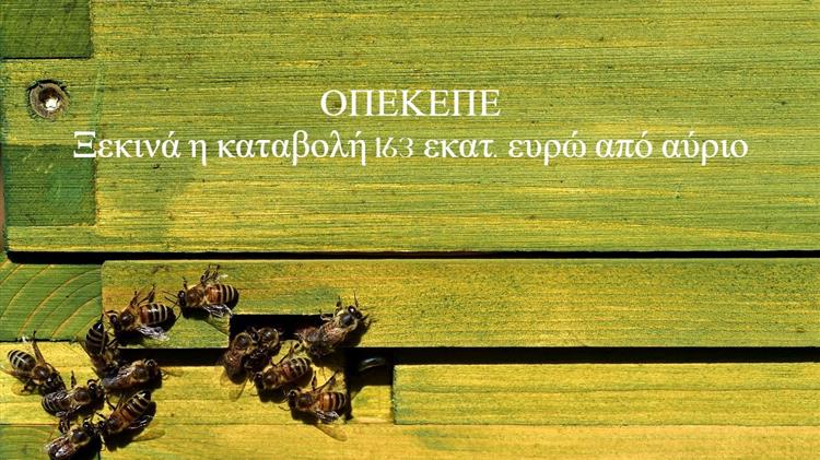 ΟΠΕΚΕΠΕ: Ξεκινά η καταβολή 163 εκατ. ευρώ από αύριο