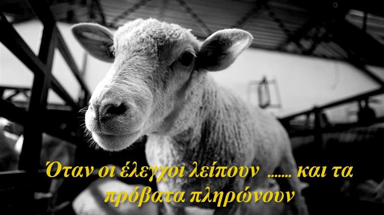 "Πανώλη στην Αττική: Ένα ακόμη κεφάλαιο στην τραγωδία της ελληνικής κτηνοτροφίας"