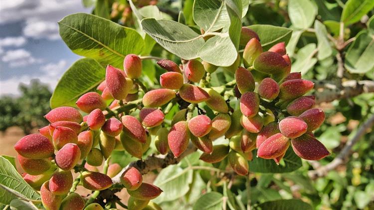 Σε ΦΕΚ η απόφαση για de minimis σε Π.Ε Αττικής και Λάρισας