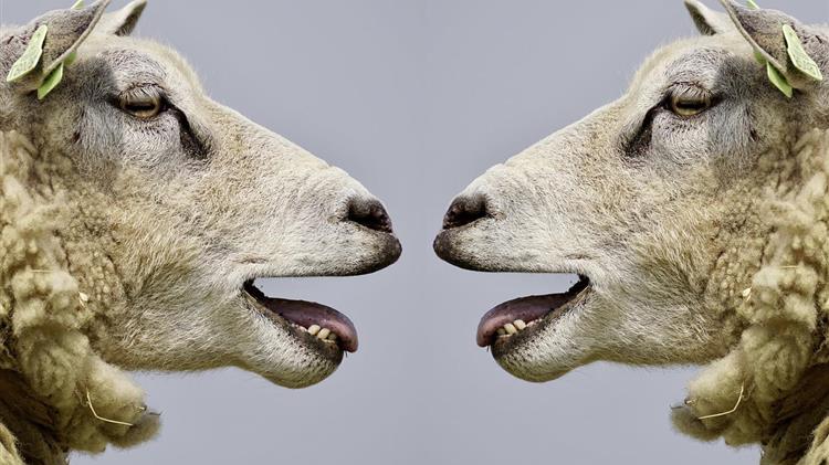 Greece: EPPO brings 100 suspects to court for €2.9 million fraud involving agricultural funds