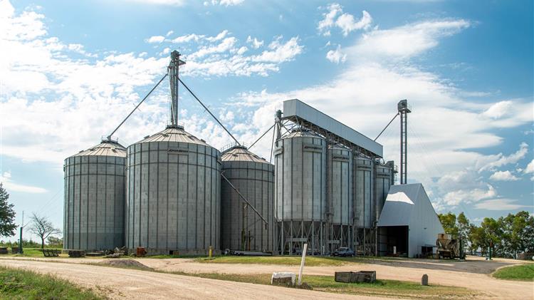 Γιατί η Ρωσία επαναφέρει τους ελέγχους στα σιτηρά;