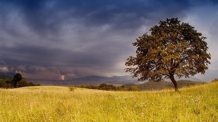 Απεργία στον ΟΠΕΚΕΠΕ: Στάση εργασίας σήμερα και 24ωρη απεργία την Πέμπτη