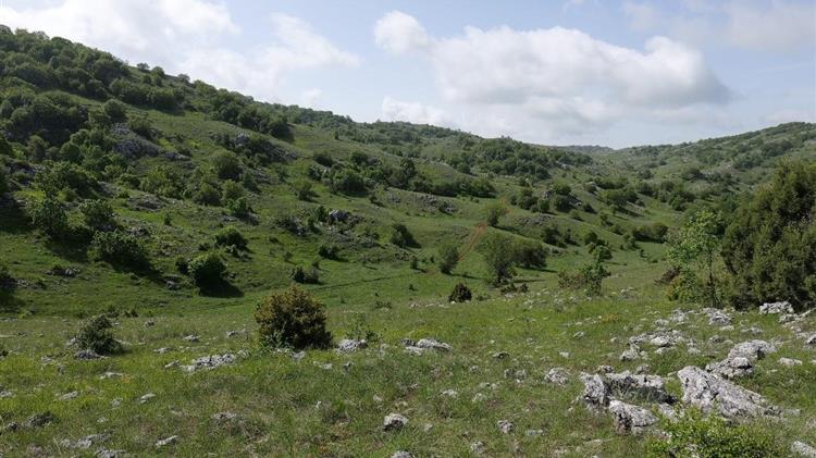 Ένας θησαυρός της ελληνικής φύσης απειλείται