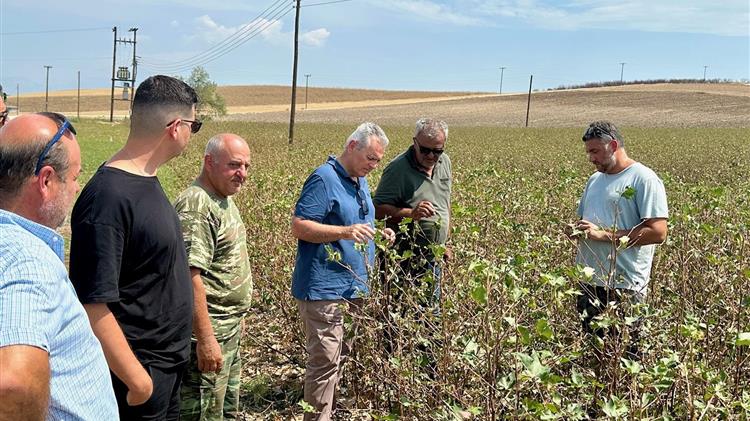 Χαρακόπουλος στα χαλαζόπληκτα: Άμεσες εκτιμήσεις στις σοβαρές ζημιές που προκάλεσε το μπουρίνι