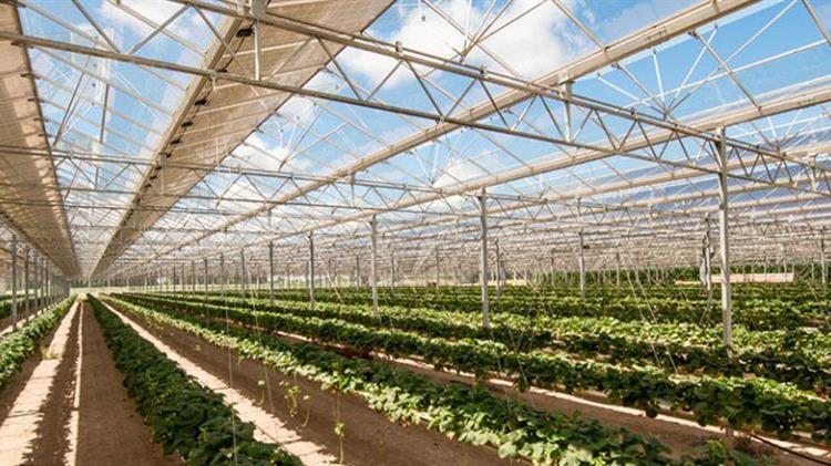 Αγροβολταϊκά: Βοηθώντας τόσο τους αγρότες όσο και το κλίμα