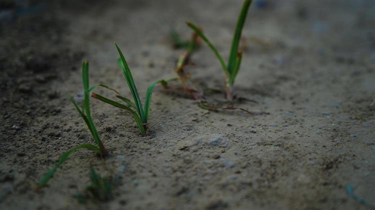 Λιακούλη:« Ώρα μηδέν: Τώρα εθνικό σχέδιο δράσης κατά της λειψυδρίας»