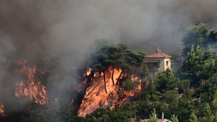 Κρατική αρωγή για πυρόπληκτους: Όλες οι λεπτομέρειες