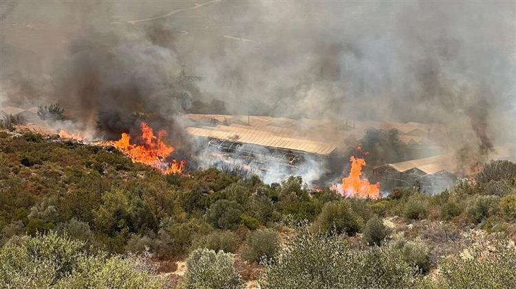 ΠΟΓΕΔΥ: «Στο ίδιο έργο θεατές μα όχι σιωπηλοί παρατηρητές, αλλά μαχητές»