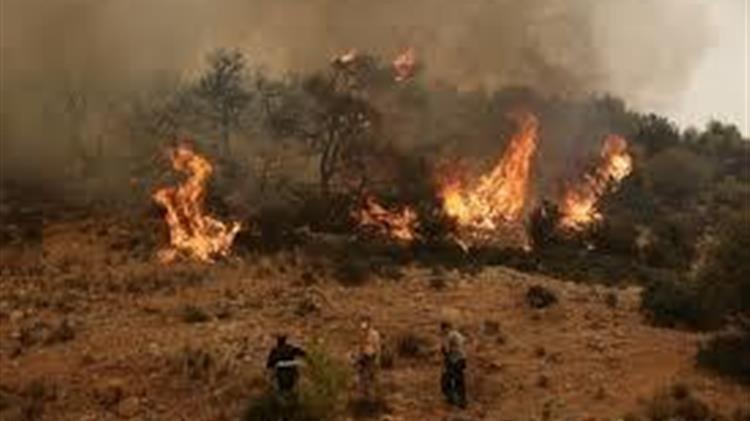 Κεφαλογιάννης: «Κοινοτική συνδρομή για την αποκατάσταση του φυσικού πλούτου της Αττικής»