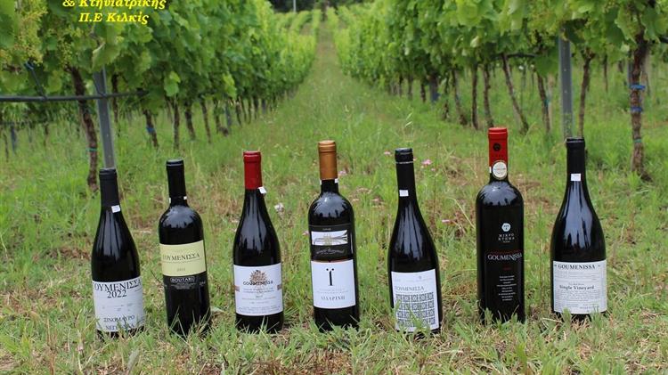 Φύτευση νέων αμπελιών: Το Κιλκίς επενδύει στο κρασί