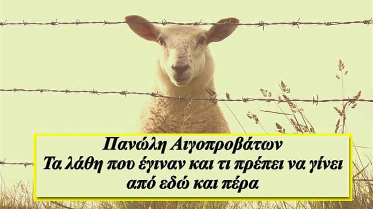 Πανώλη Αιγοπροβάτων: Τα λάθη που έγιναν και τι πρέπει να γίνει από εδώ και πέρα