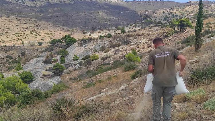 Βοήθεια για τα ζώα των πυρόπληκτων περιοχών