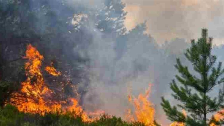 Δασικές Πυρκαγιές στην Περιφέρεια Αττικής: Αιτίες, Επιπτώσεις και Διαχείριση