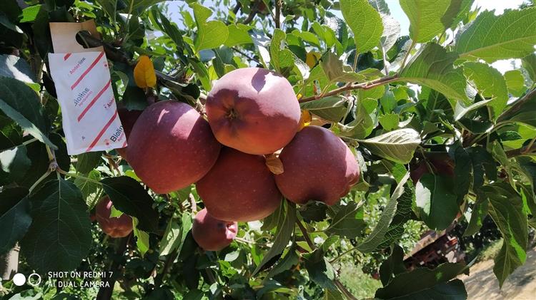 Κομφούζιο: Παράταση προθεσμίας για τη δράση με νέα καταληκτική ημερομηνία