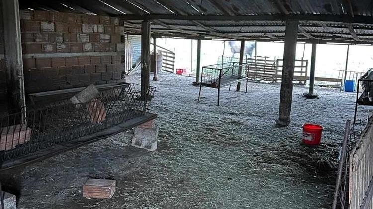 Σταρακά: «Νεκροταφεία οι σταβλικές εγκαταστάσεις.Θα δώσουμε αγώνα για τις αποζημιώσεις των παραγωγών όλης της χώρας»